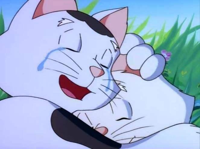 小贝流浪记图片,一段温馨的都市寻亲之旅