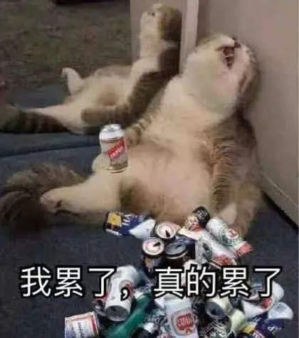 累到崩溃表情包